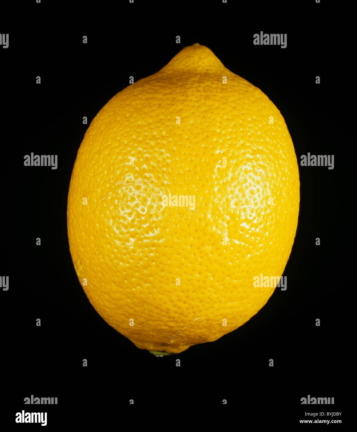 Ganze Zitrone Zitrusfrüchte Vielzahl Eureka Stockfoto