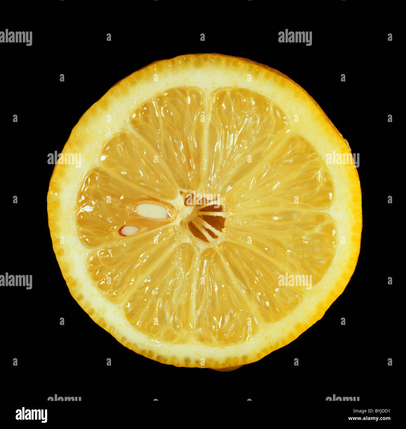 Schnittbereich von verschiedensten Zitrusfrüchte Zitronen Lissabon Stockfoto