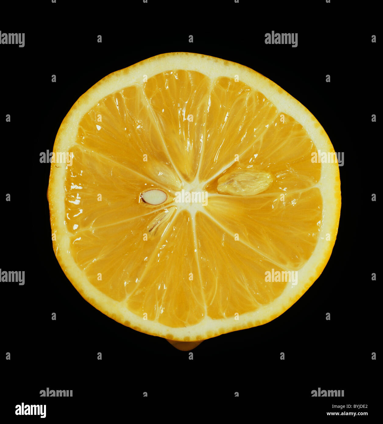 Schnittbereich von verschiedensten Zitrusfrüchte Zitrone Meyer Stockfoto