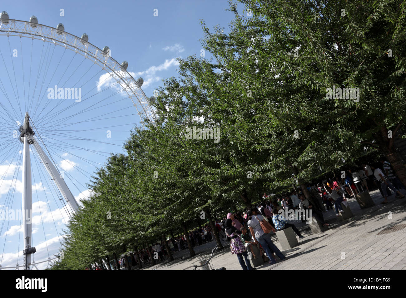 Abgewinkelte Aspekt des London Eye am Südufer in der Nähe von Waterloo Station. Stockfoto