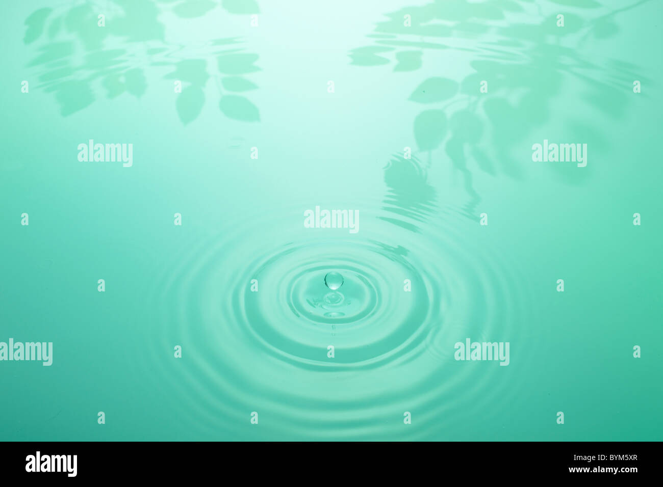 Droplet und Reflexionen auf Wasser Stockfoto