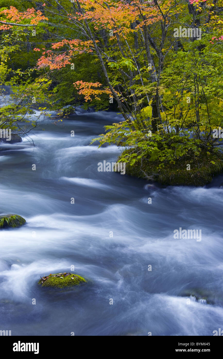 Bergbach im Herbst Stockfoto