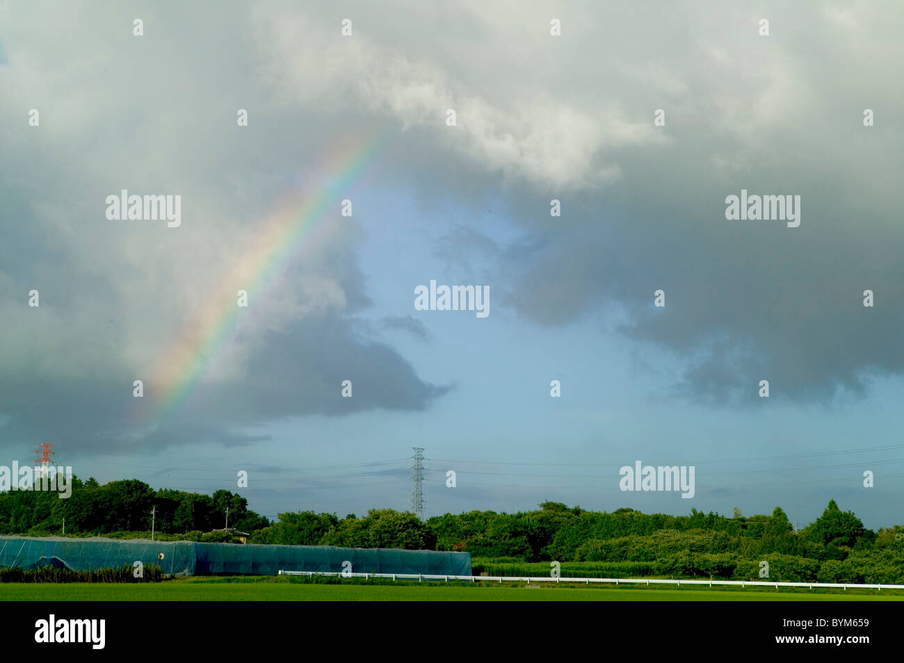 Regenbogen über Feld Stockfoto