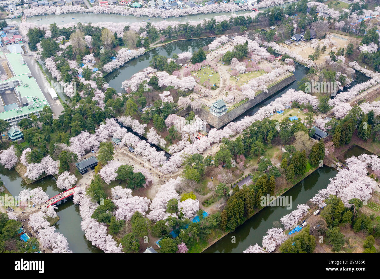 Hirosaki Schlosses und blühende Kirschbäume in Hirosaki Park Stockfoto