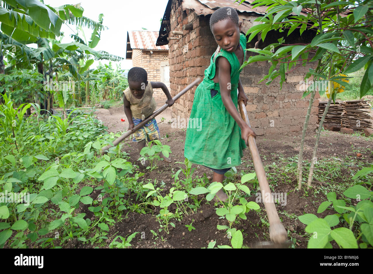 Zwei Kinder arbeiten auf ihre Familie Bauernhof im ländlichen Masaka, Uganda, Ostafrika. Stockfoto