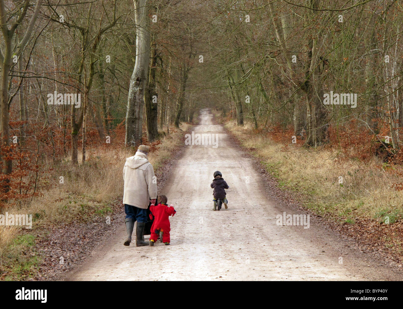 Ein Großvater mit seinen Enkeln im Privatbesitz Savernake Wald, Wiltshire UK Stockfoto
