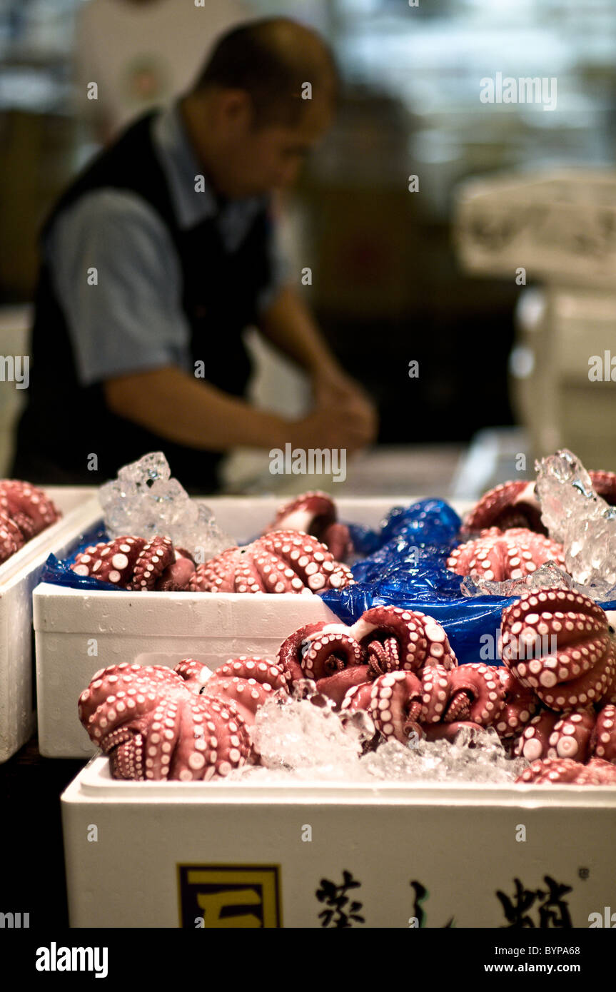 Fälle von frischen Oktopus am Tsukiji der größte Fisch und Meeresfrüchte Großhandelsmarkt in der Welt. Stockfoto