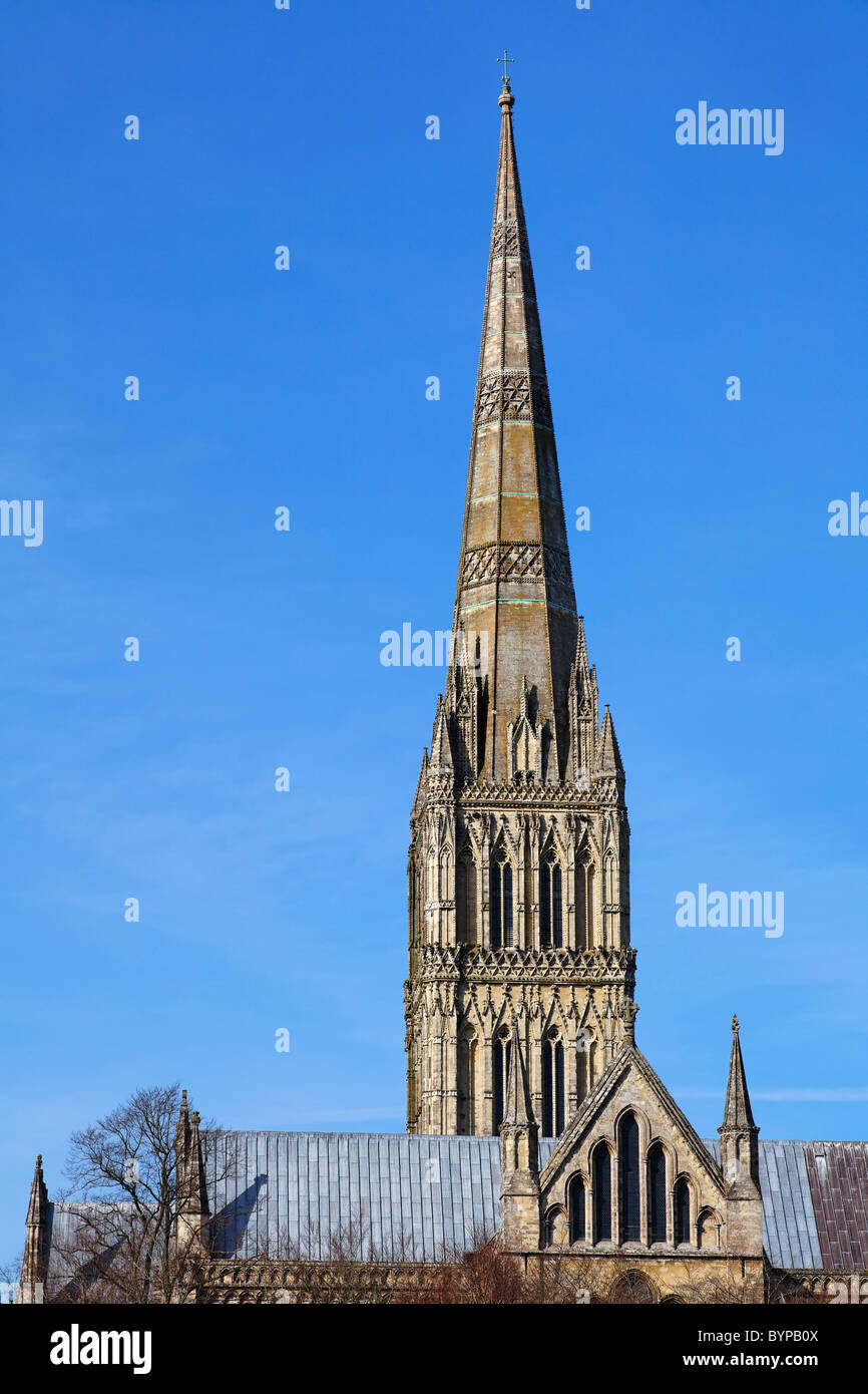 Salisbury Kathedrale, Salisbury, Wiltshire, England Stockfoto