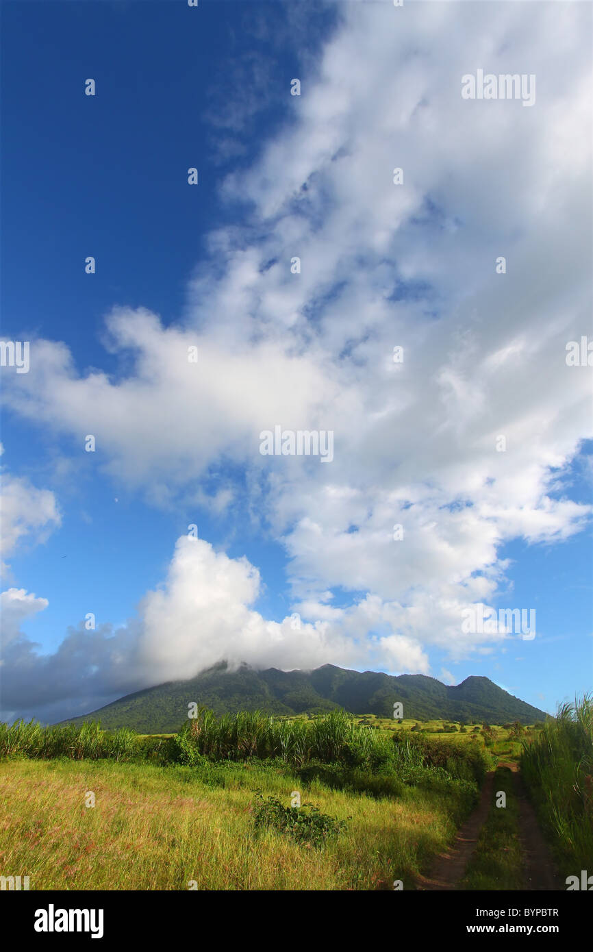 Mount Liamuiga in St. Kitts Stockfoto