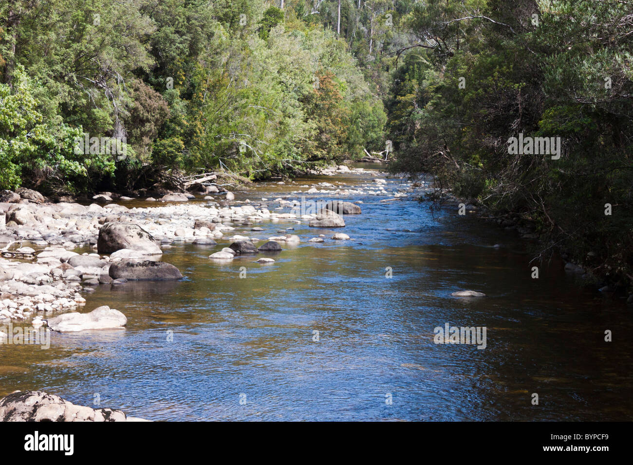 Franklin River, Tasmanien, Australien Stockfoto