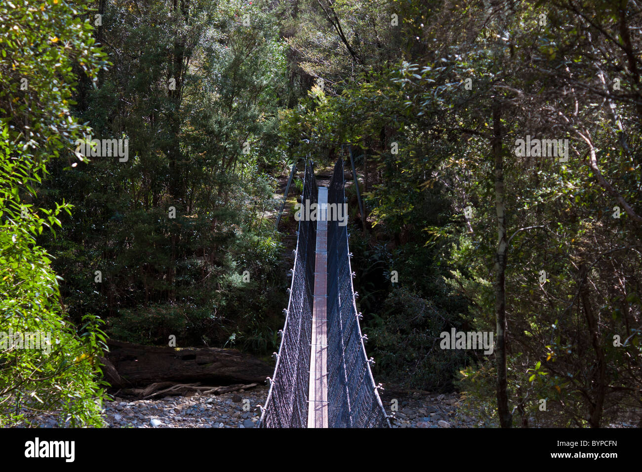 Hängebrücke, Franklin River, Tasmanien, Australien Stockfoto