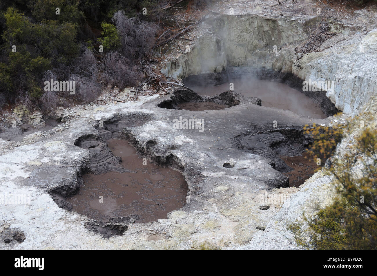 Des Teufels Tinte Töpfe, kochendem Schlamm Funktionen in Wai-o-Tapu geothermal Gegend in Neuseeland Stockfoto