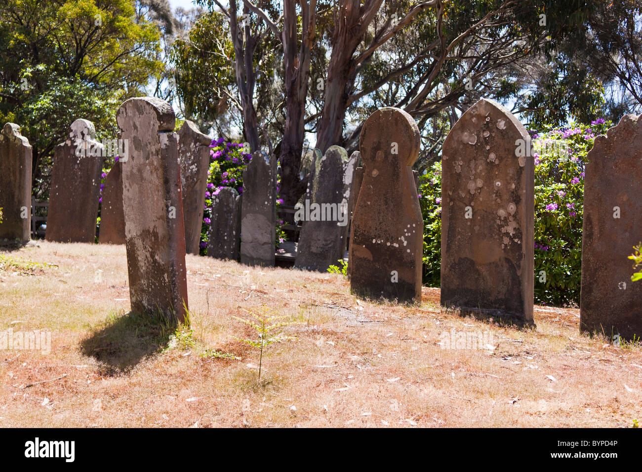 Friedhof auf der Insel der Toten, Port Arthur, Tasmanien.  Heute einer der wichtigsten Touristenattraktionen Australiens. Stockfoto