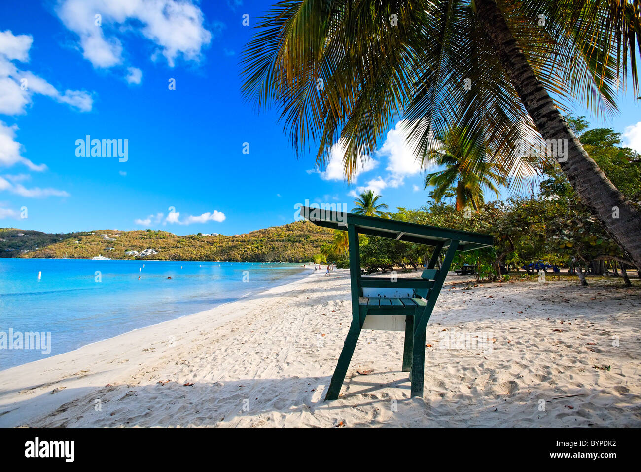 Strandwache unter einen Palm Tree, Magens Bay, St. Thomas, Amerikanische Jungferninseln Stockfoto