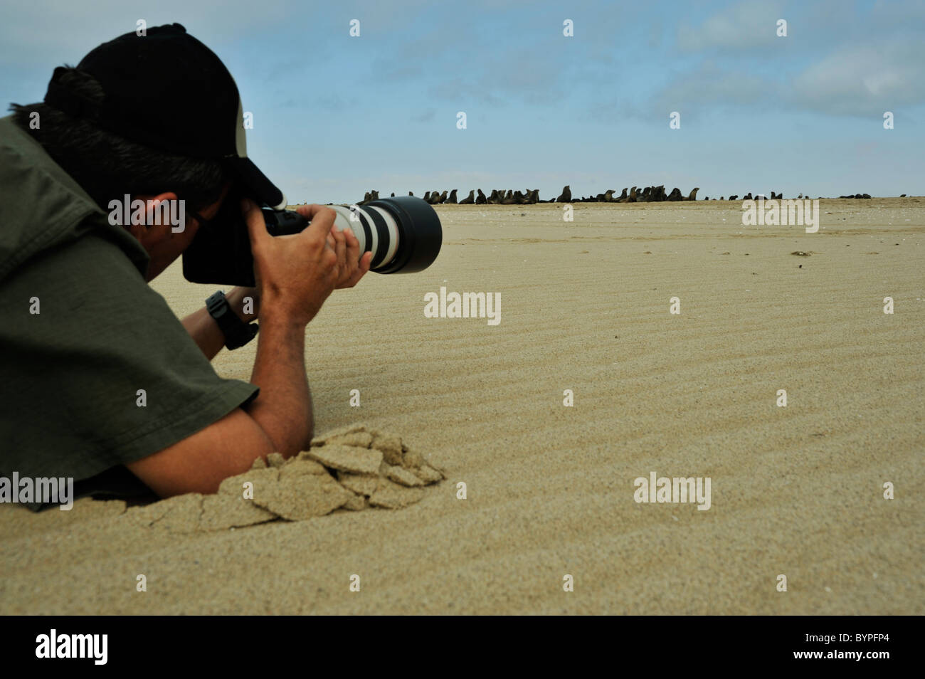 Walvisbay, Namibia, Mann, Kamera, Fotografie, Kap, Kolonie, Nationalpark, Landschaft, Strand, Tiere Stockfoto