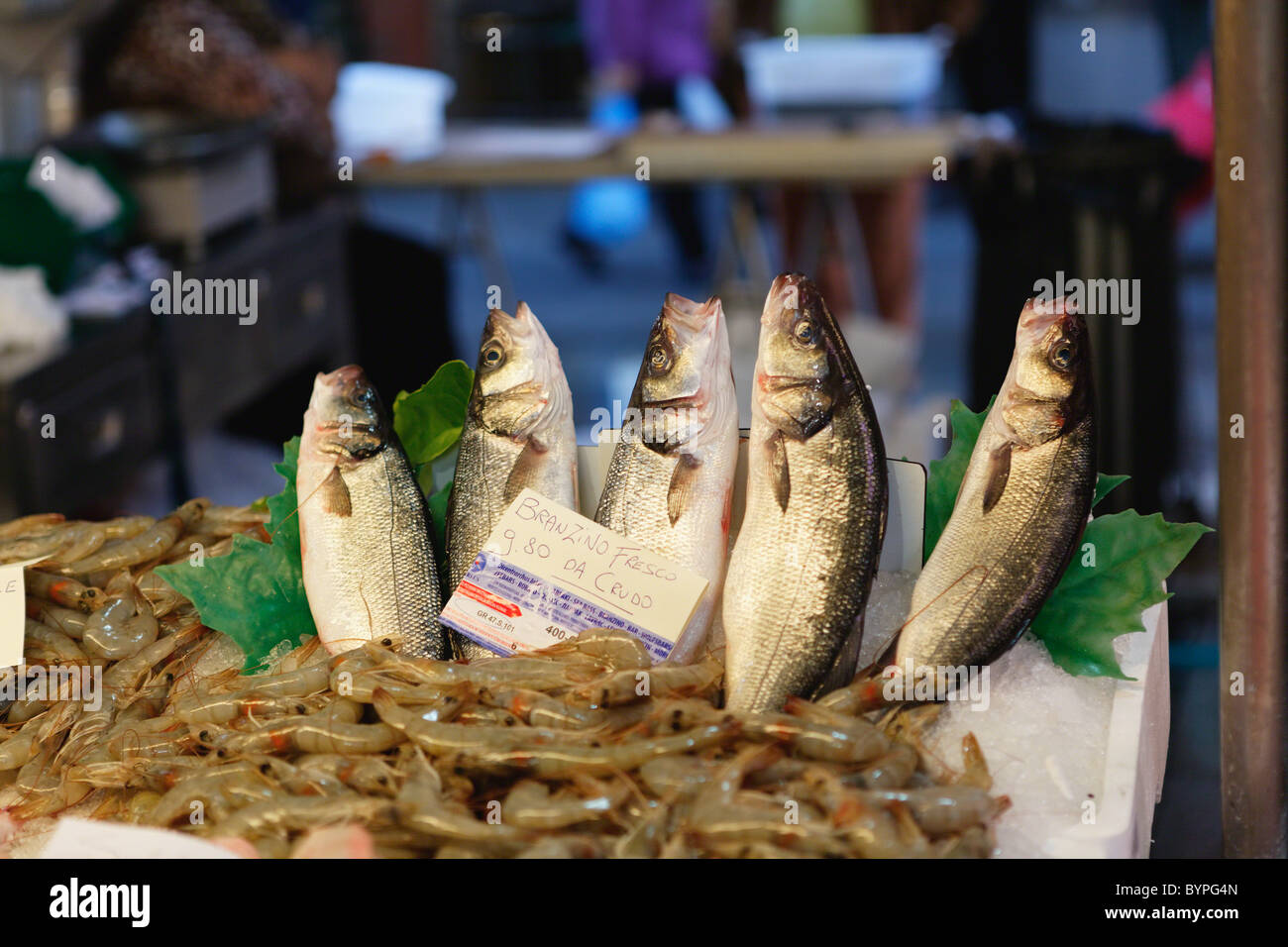 Fisch Anzeige an der Rialto, Fischmarkt, Venedig, Venetien, Italien Stockfoto