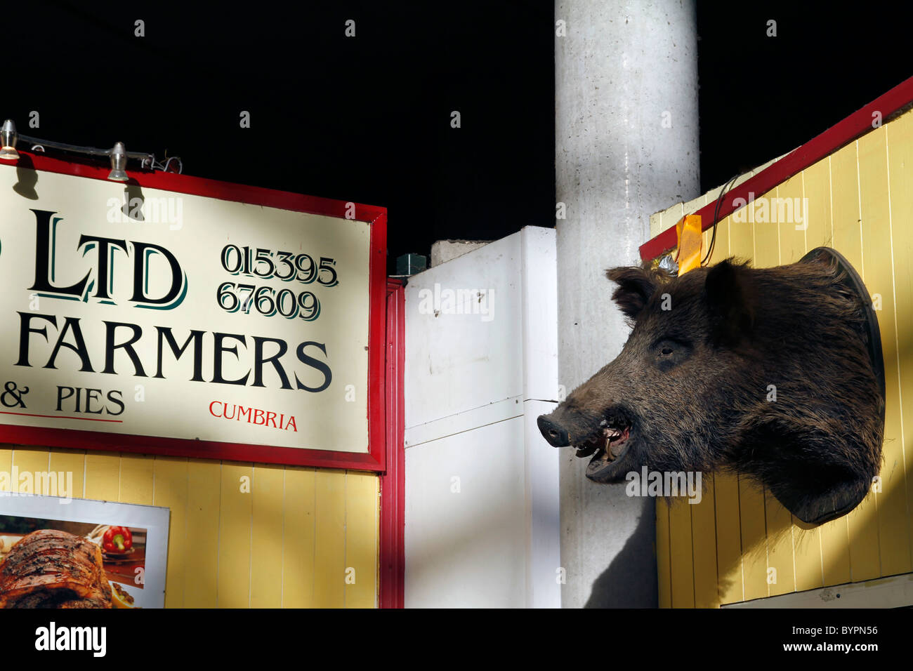 VEREINIGTES KÖNIGREICH. LEITER DER AUSGESTOPFTEN WILDSCHWEIN AUF DER FARM SHOP IM BOROUGH MARKET IN LONDON Stockfoto