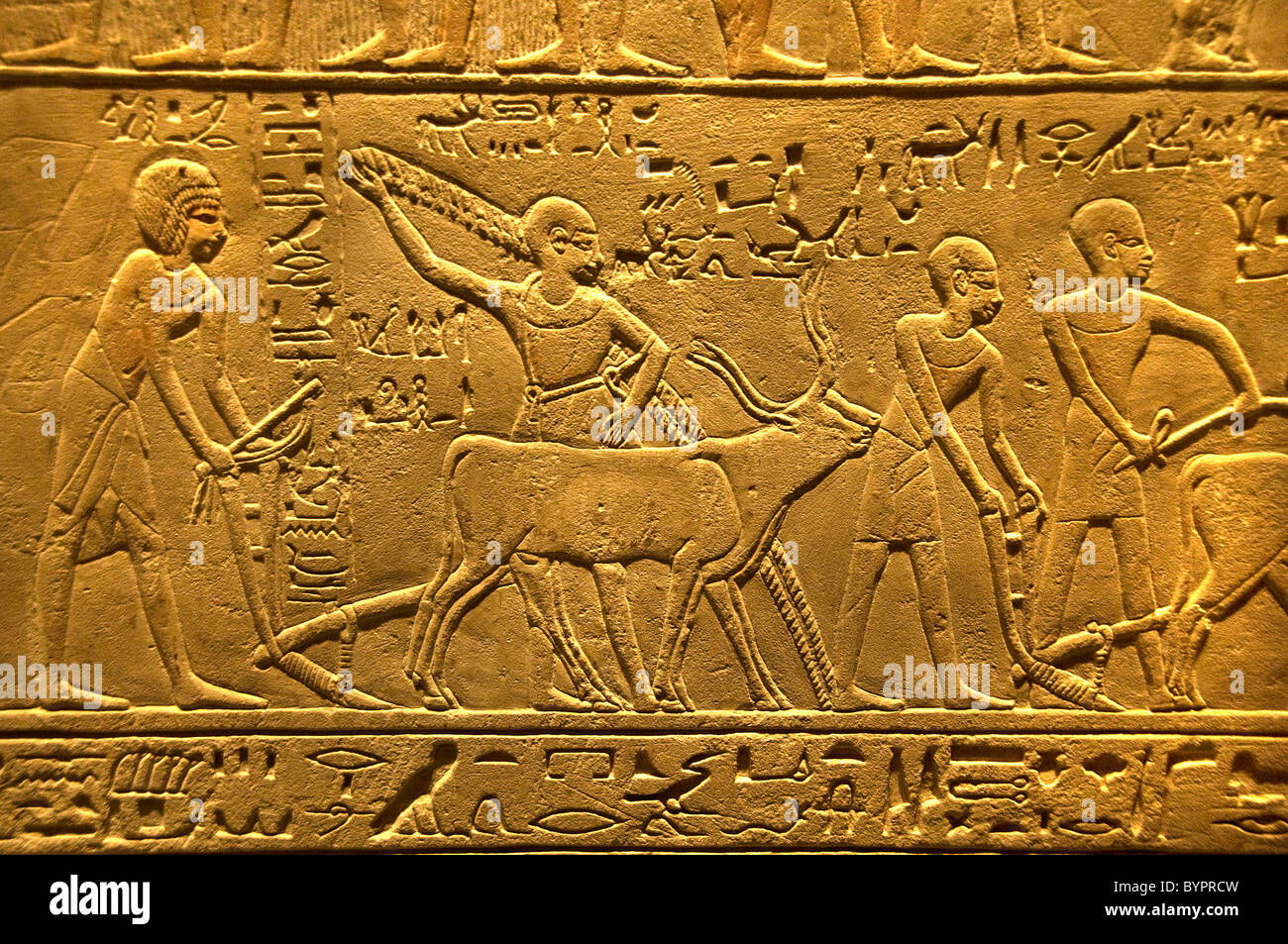 Wand Relief von Sakkara Ägypten Merymery 1391-1353 V.u.z. verschiedene Phasen der Beerdigung Ritual und Mundöffnung Stockfoto