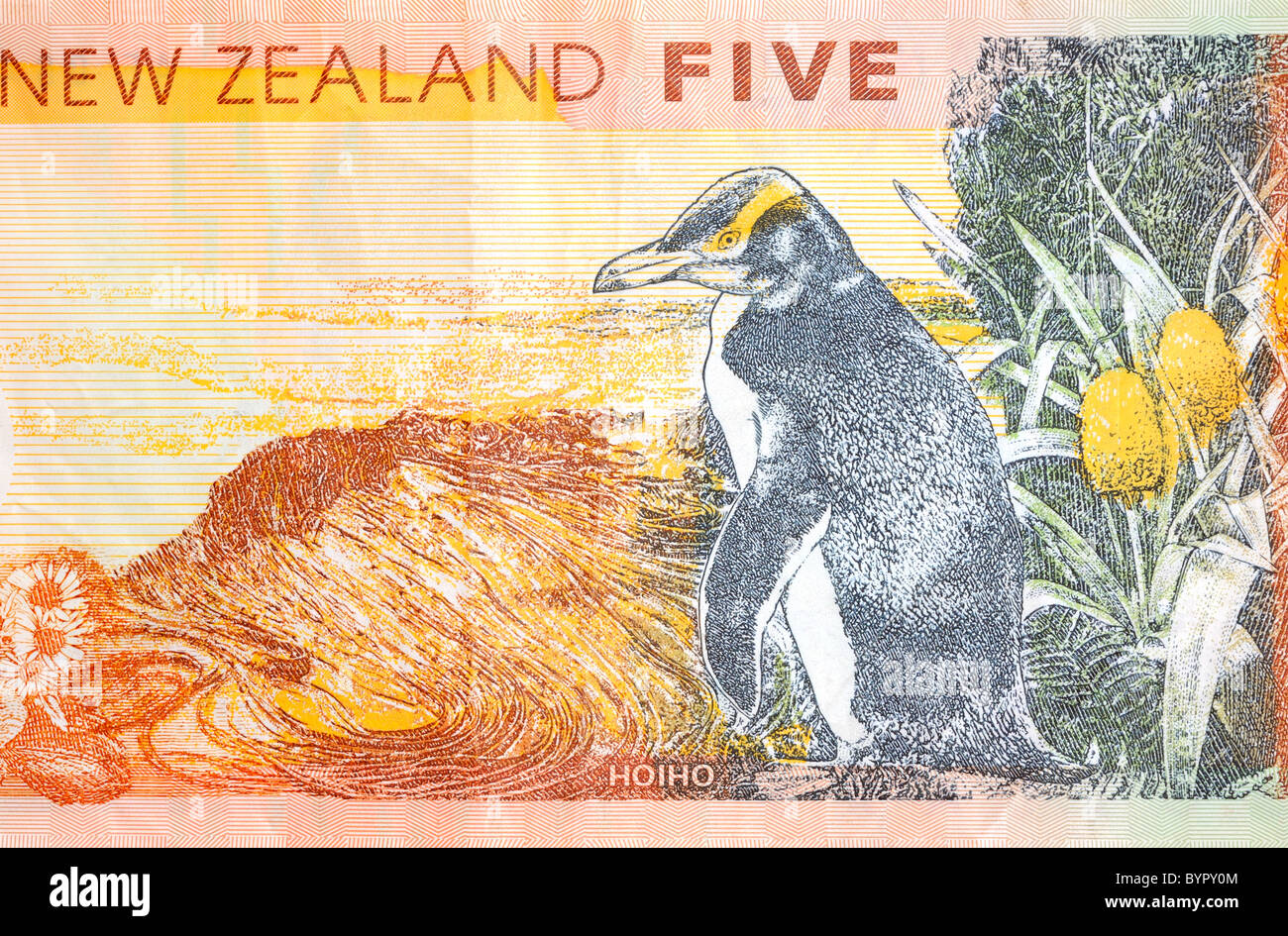 New Zealand fünf 5-Dollar-Note. Stockfoto