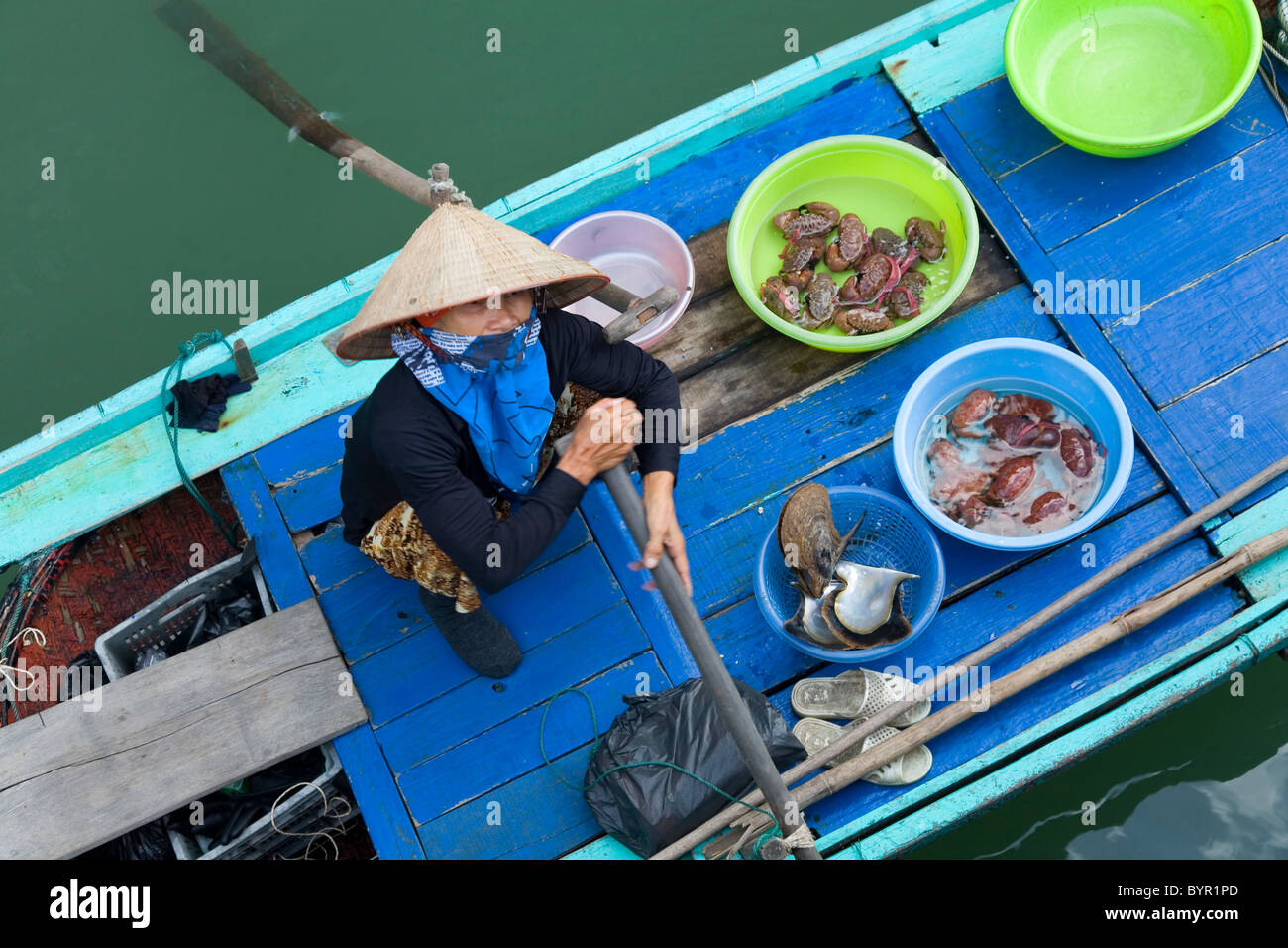 Ha Long Bay. Quảng Ninh Provinz, Vietnam. Stockfoto