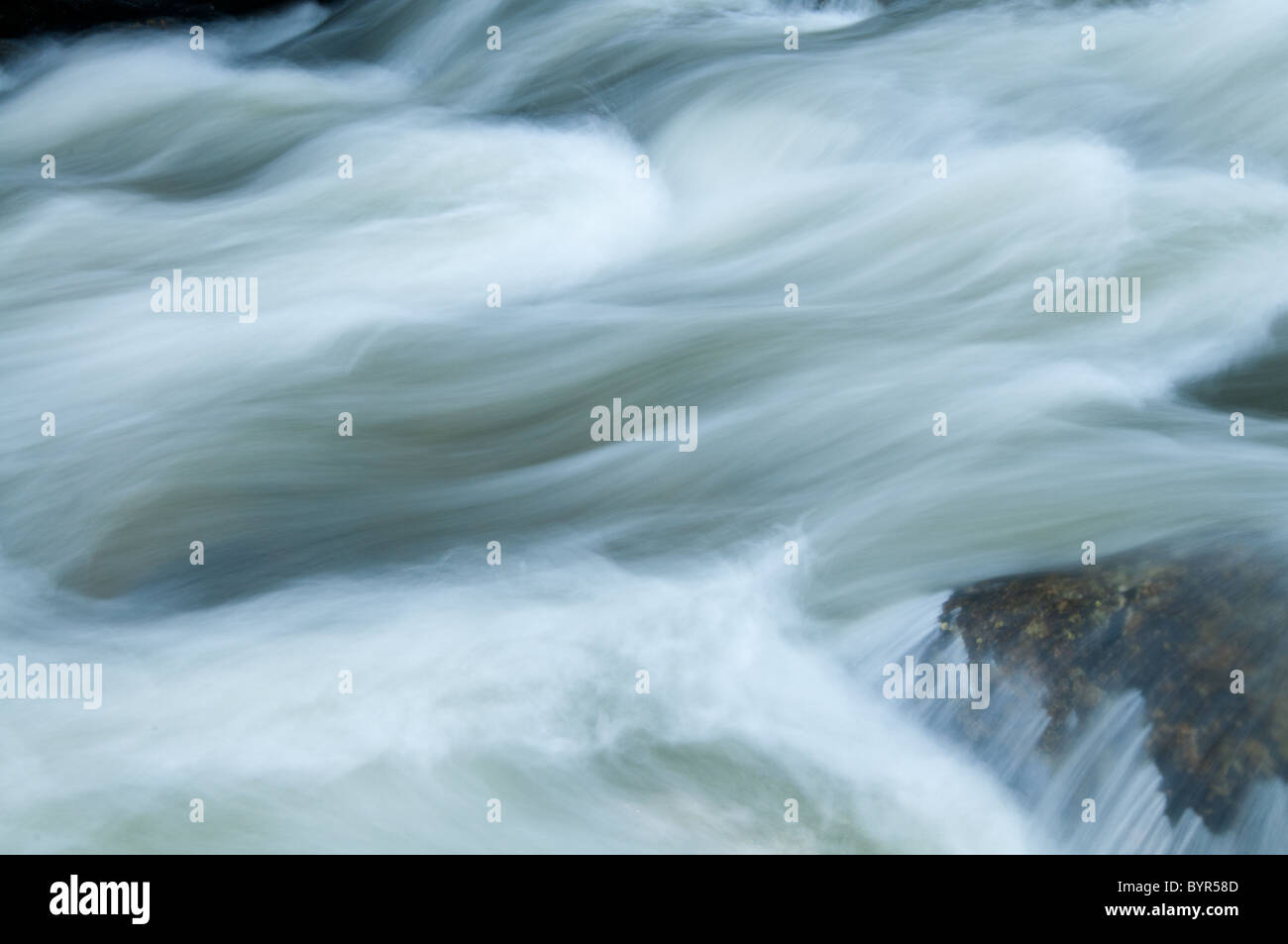 Wasser fließt über große Felsbrocken in einem schnell bewegten Berg River. Stockfoto