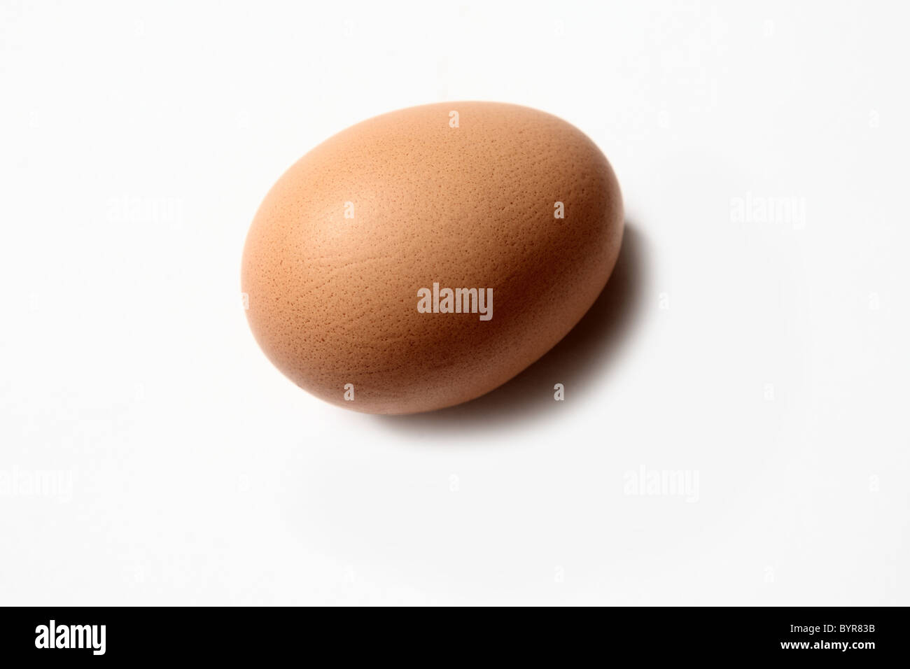 Ein einzelnes Ei Stockfoto