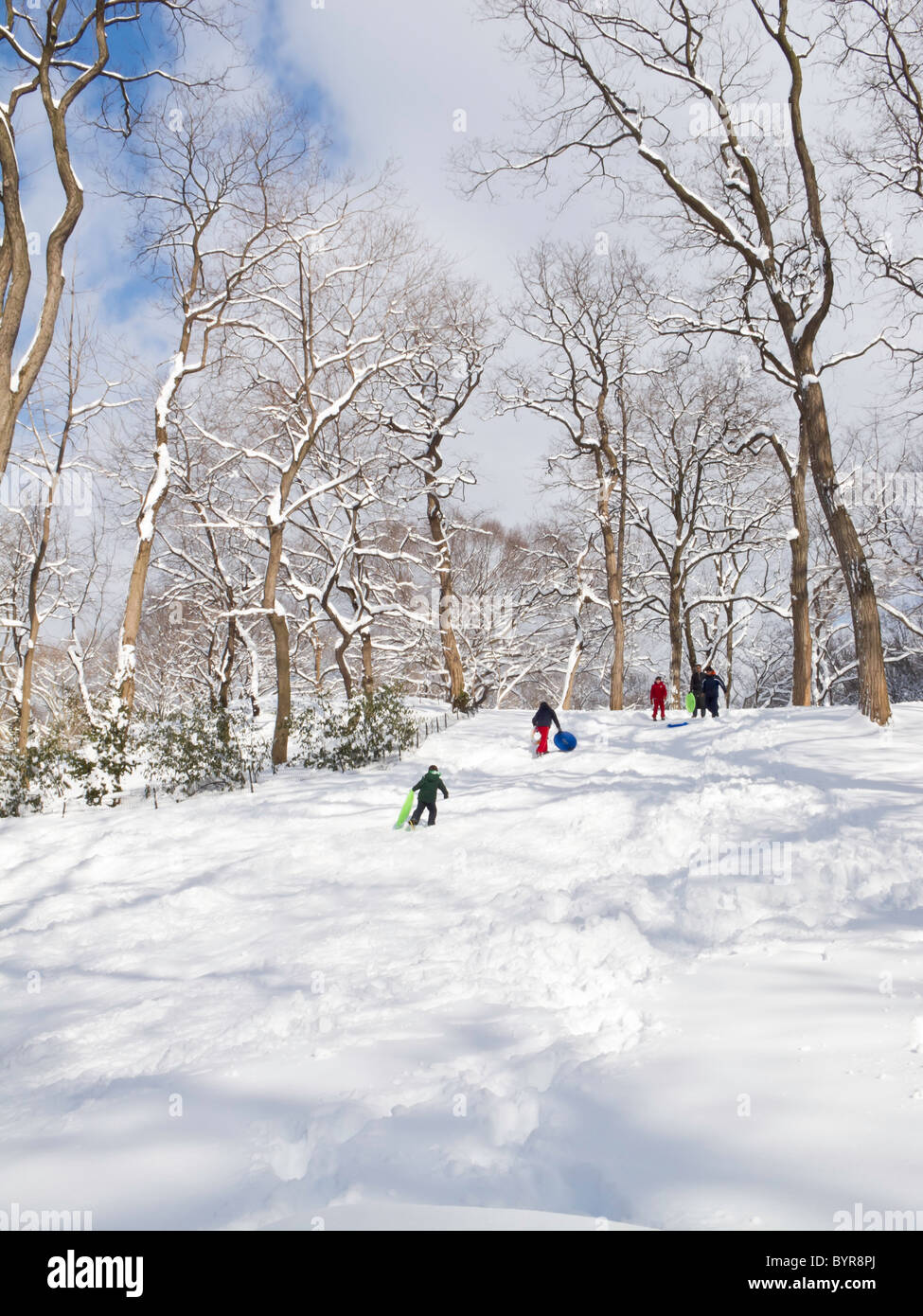 Kinder Rodeln, Central Park, New York Stockfoto