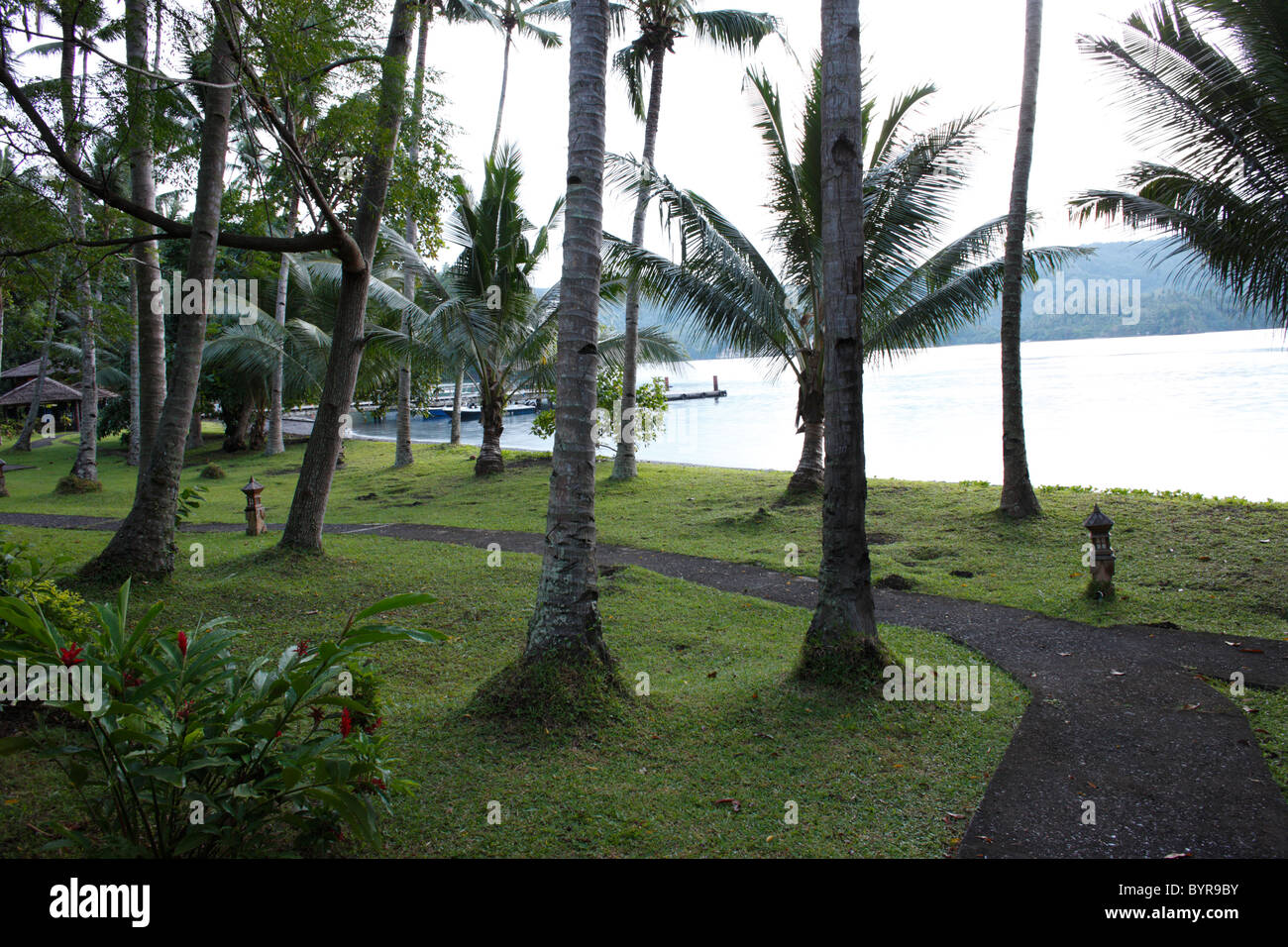 Palmen Sie, Gehweg, und Lembeh Strait von Kungkungan Bay Resort am frühen Morgen gesehen. Stockfoto