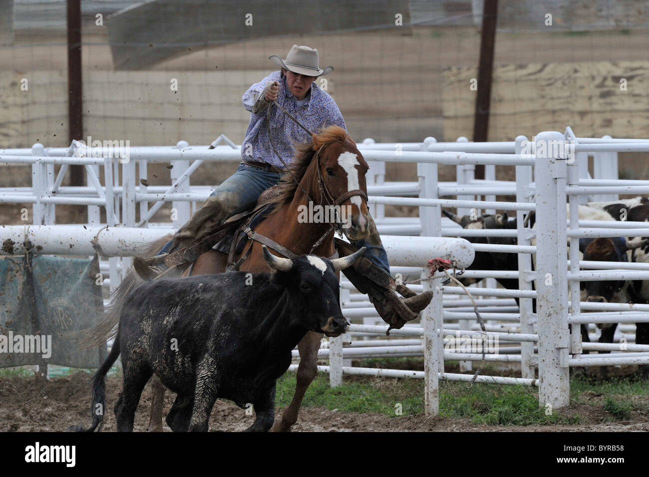 Bulldogging Rodeo Bulldogging, Steer Wrestling, Teen, Teenager, Pferd, Pferde, Cowboy ...
