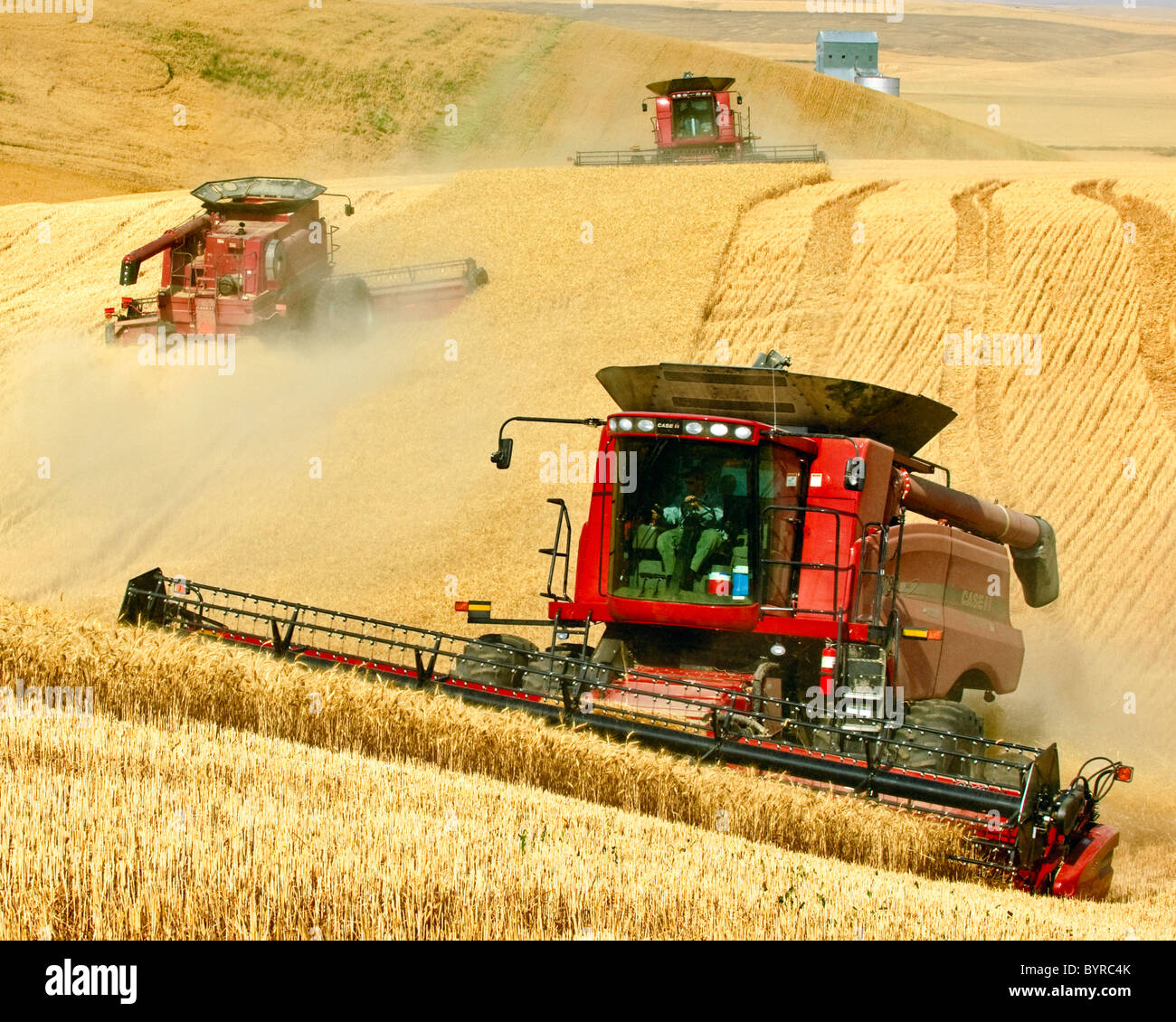 Wheat farm harvest usa Fotos und Bildmaterial in hoher Auflösung Alamy
