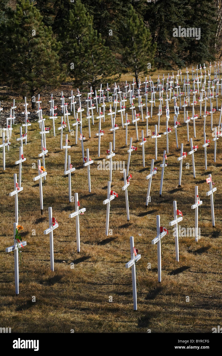 Weiße Kreuze in einem Feld mit kanadischen Flaggen; Calgary, Alberta, Kanada Stockfoto