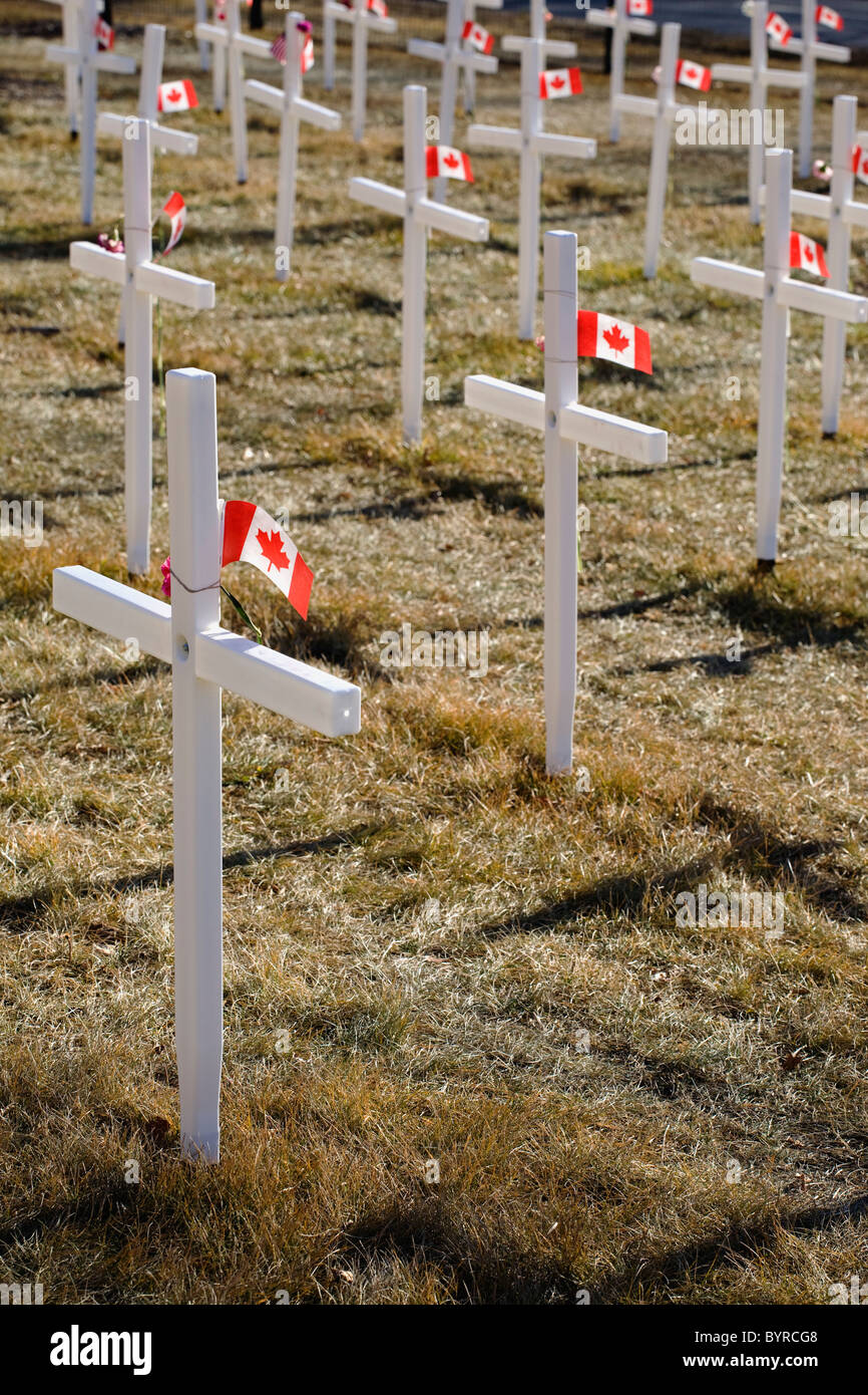 Weiße Kreuze in einem Feld mit kanadischen Flaggen; Calgary, Alberta, Kanada Stockfoto