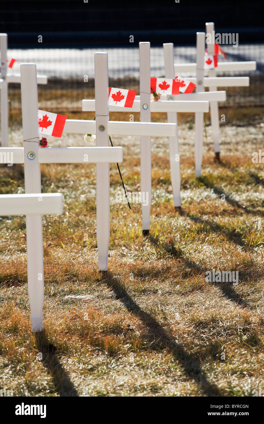 Weiße Kreuze in einem Feld mit kanadischen Flaggen; Calgary, Alberta, Kanada Stockfoto