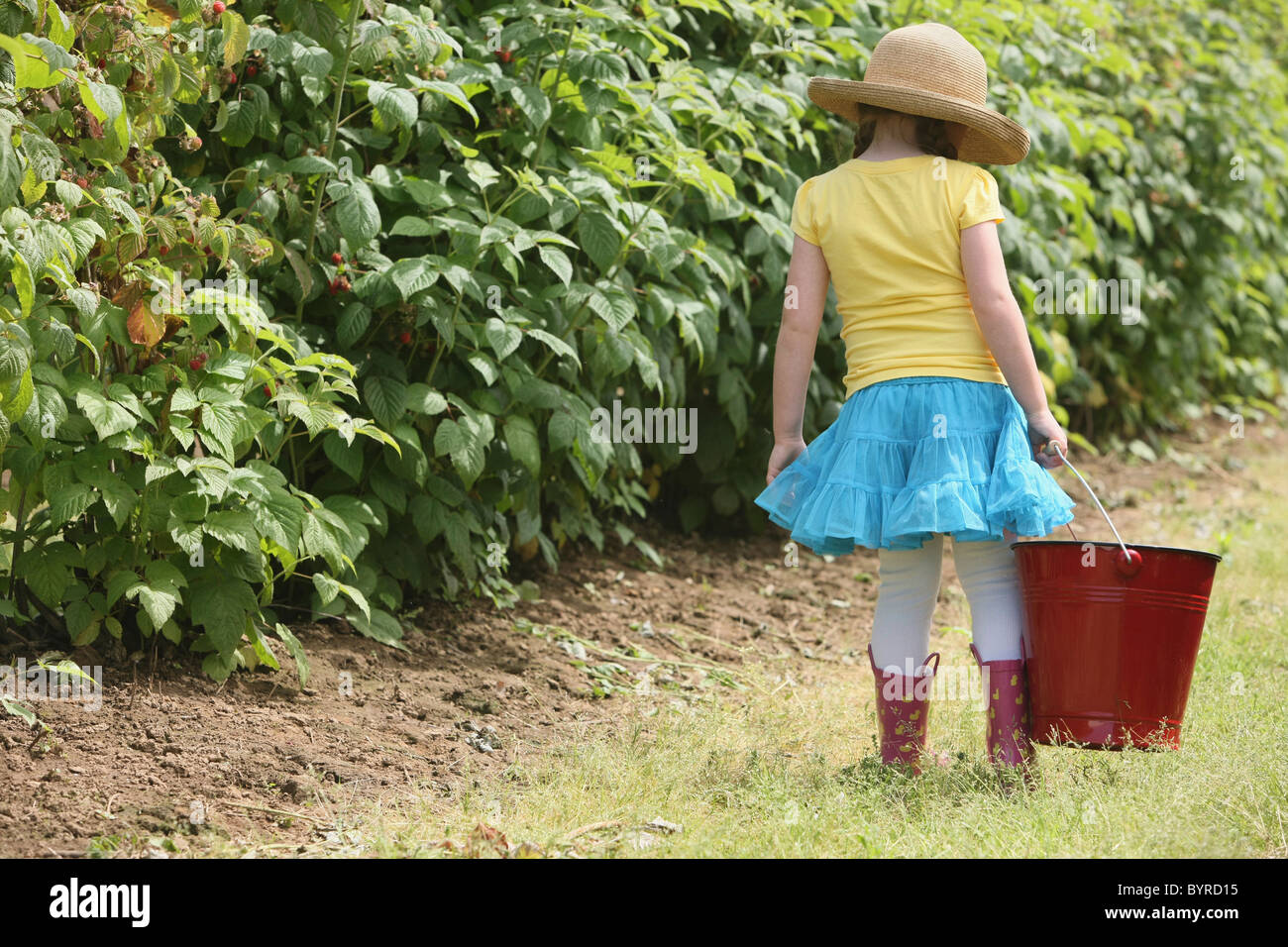 ein Mädchen trägt einen Strohhut und trägt einen großen, roten Eimer für Beeren pflücken; Troutdale, Oregon, Vereinigte Staaten von Amerika Stockfoto