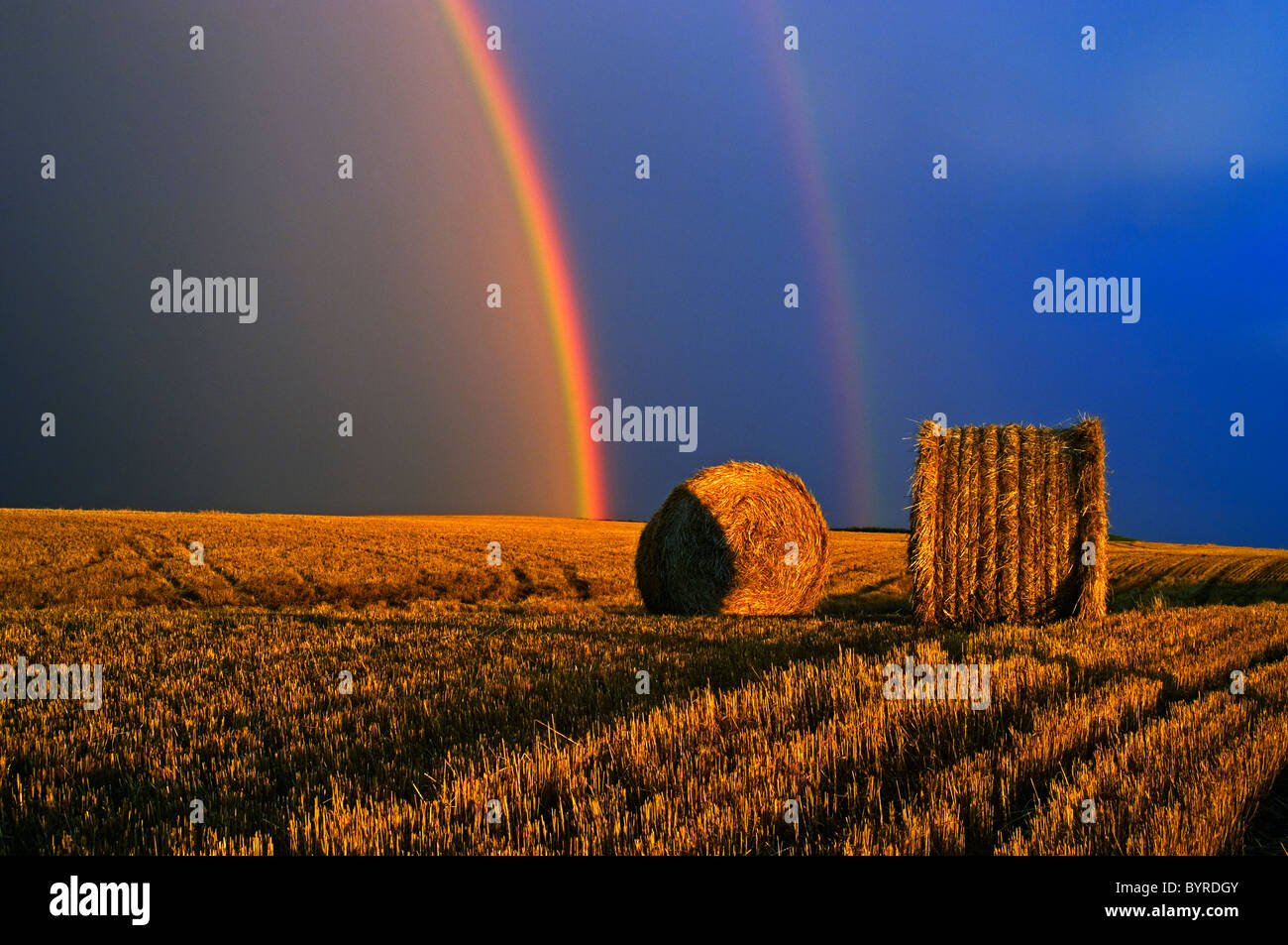 Landwirtschaft - ein Regenbogen und Wolken über einem Feld Runde Weizenstroh Ballen / in der Nähe von Cypress River in Manitoba, Kanada. Stockfoto