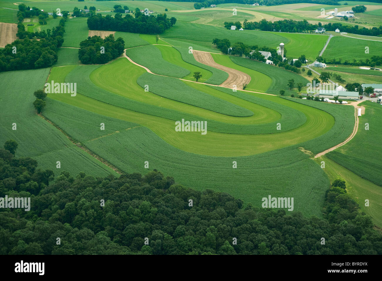 Luftaufnahme von Gehöften und landwirtschaftlich genutzten Feldern mit Coutour Streifen von Körnermais und Luzerne im Frühsommer / Pennsylvania. Stockfoto