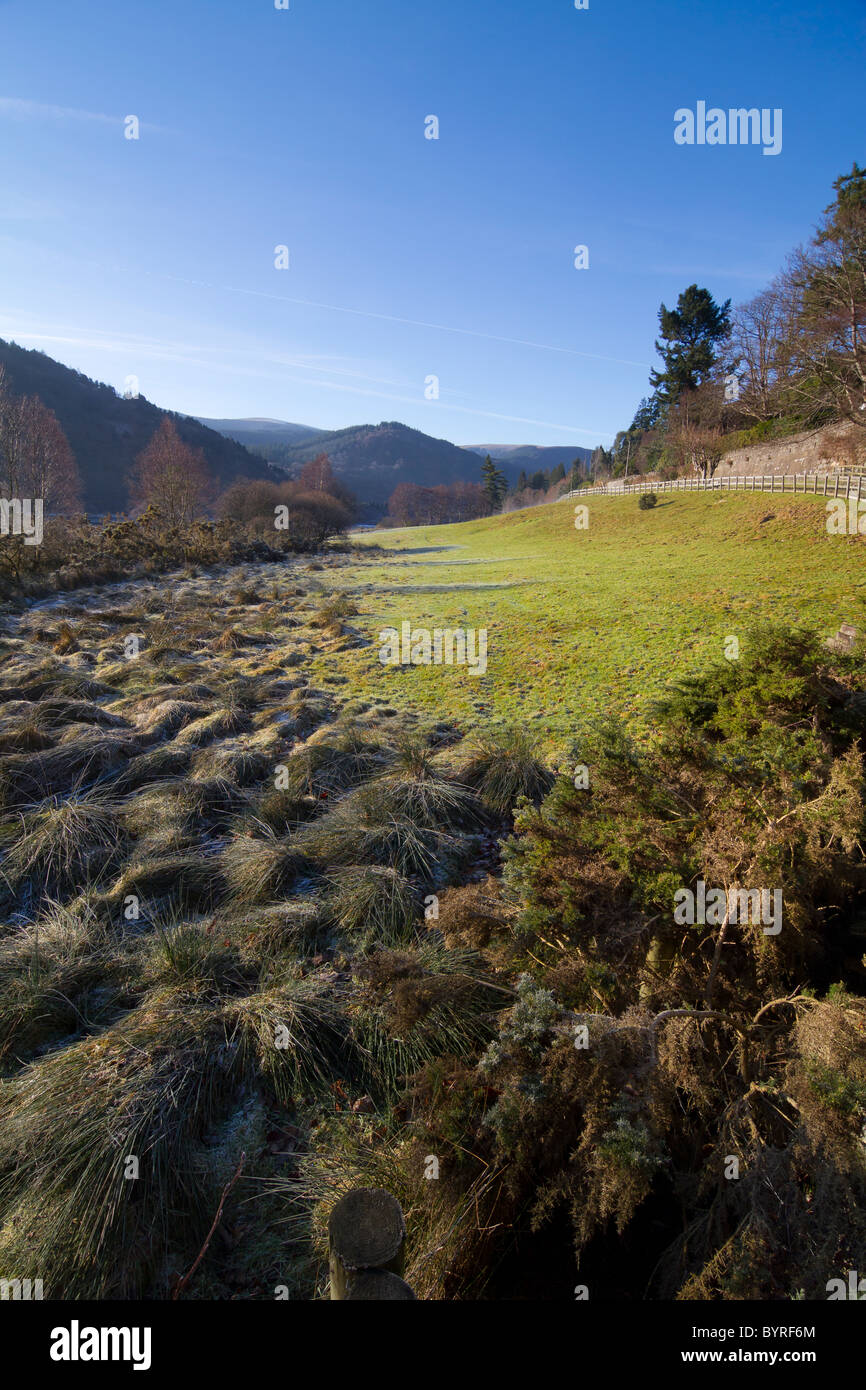 Irische Landschaft in Wicklow. Stockfoto