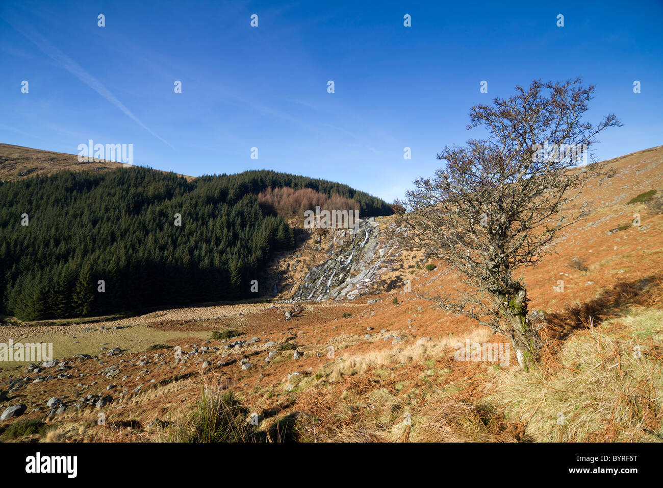 Sally Gap, Wicklow, Irland. Stockfoto