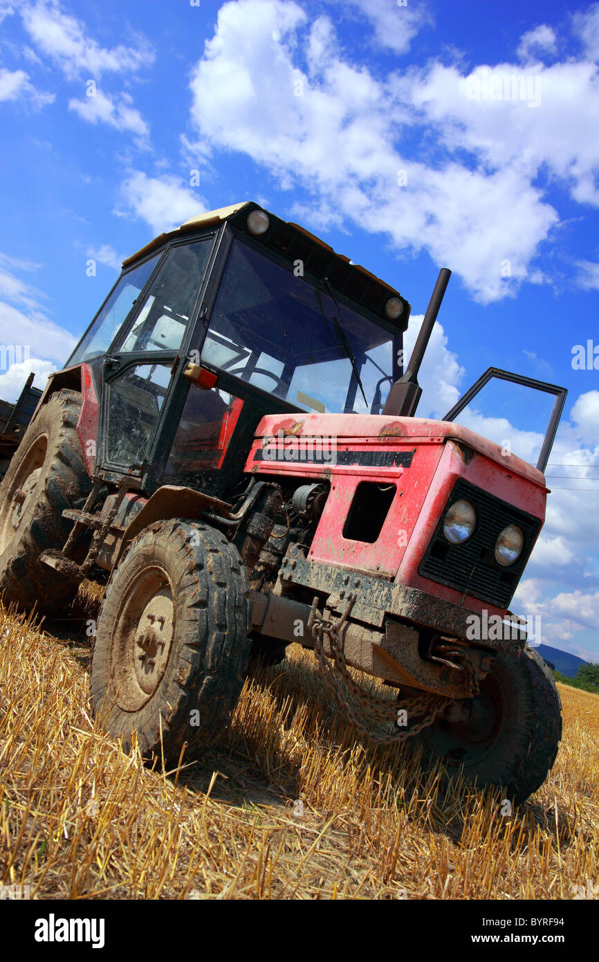 roten alten Traktor im Sommer auf Feld Stockfoto