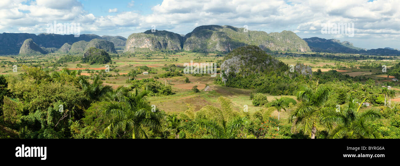 Kuba, Pinar del Rio Region Valle de Viñales (Vinales) Bereich. Kalkstein Mogotes bilden einen Hintergrund für Felder von Tabak und Mais. Stockfoto