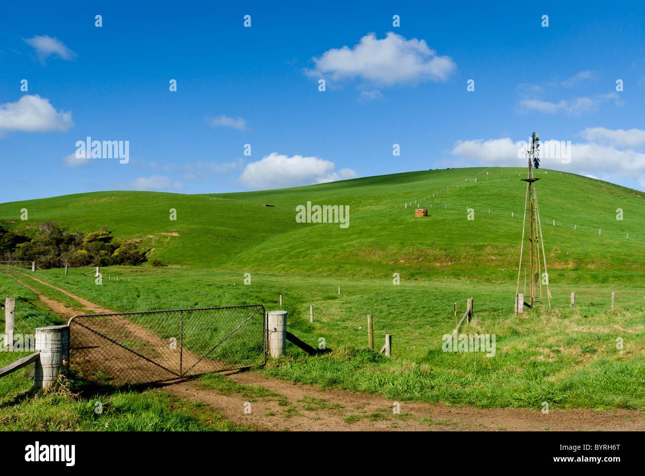 Grünen Ackerland mit Windmühle Stockfoto