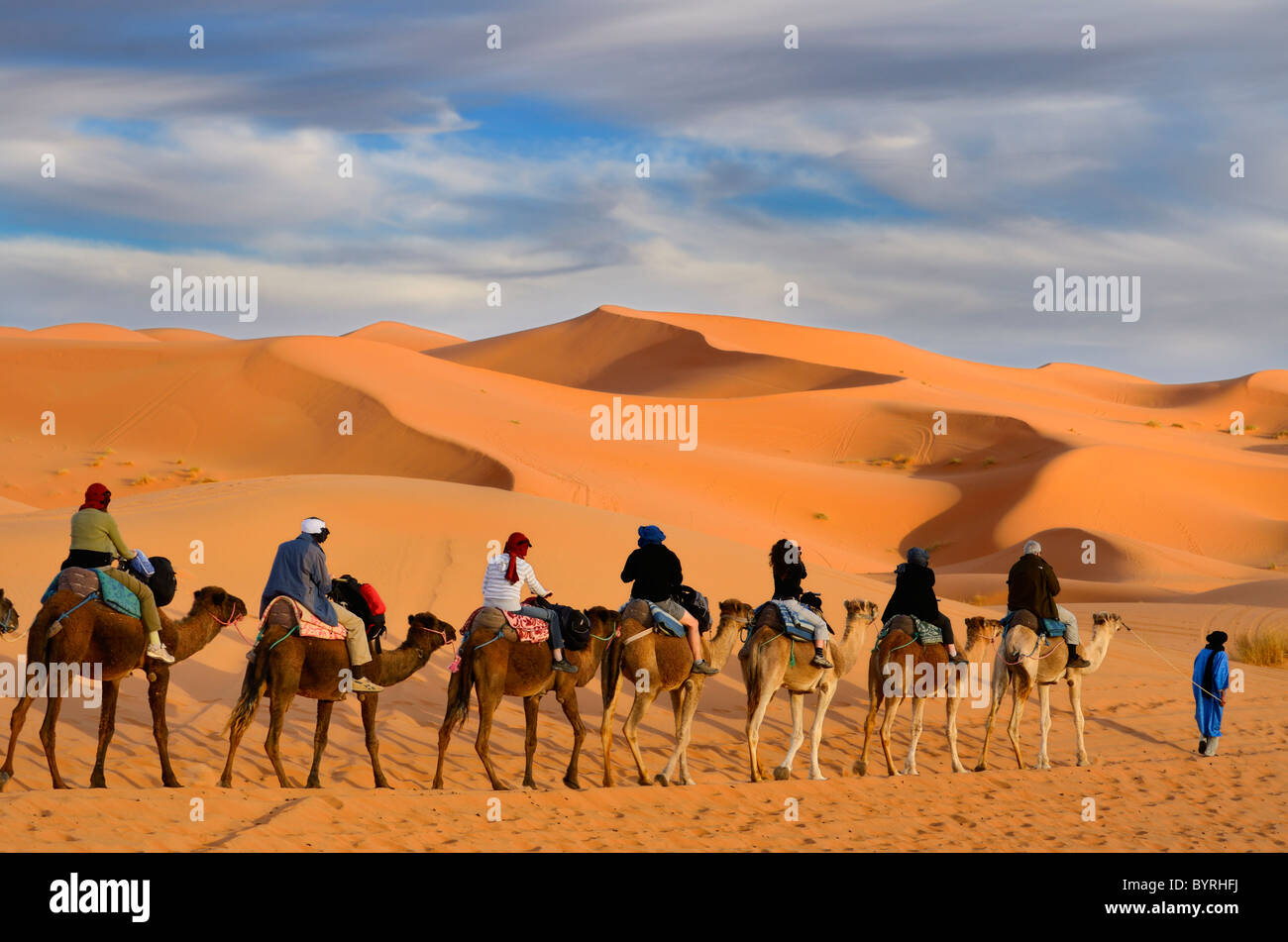 Tuareg berber Mann führt eine Gruppe von Touristen auf Kamelen durch die Wüste Erg Chebbi mit goldenen Sanddünen in Marokko Stockfoto