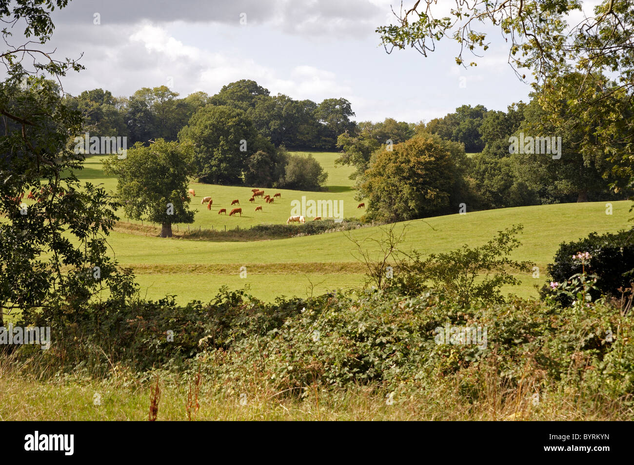 Blick vom in der Nähe von Bateman, der ehemaligen Heimat von Rudyard Kipling in der Nähe von Burwash, East Sussex. Stockfoto