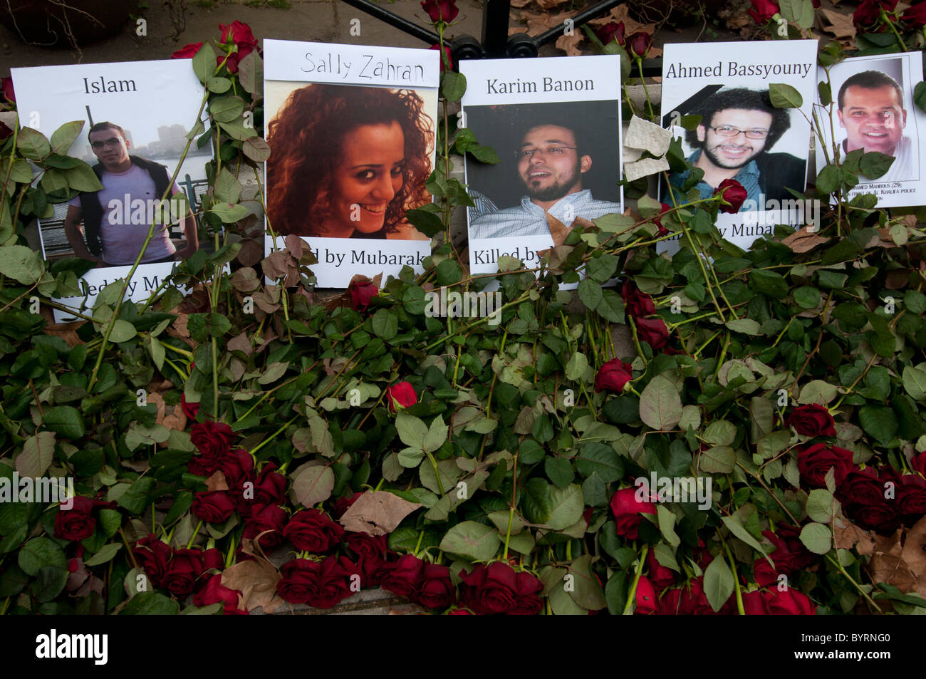 5. Februar 2011. Protest gegen Mubarak an der ägyptischen Botschaft London. Fotos der getöteten in Kairo und Rosen Stockfoto