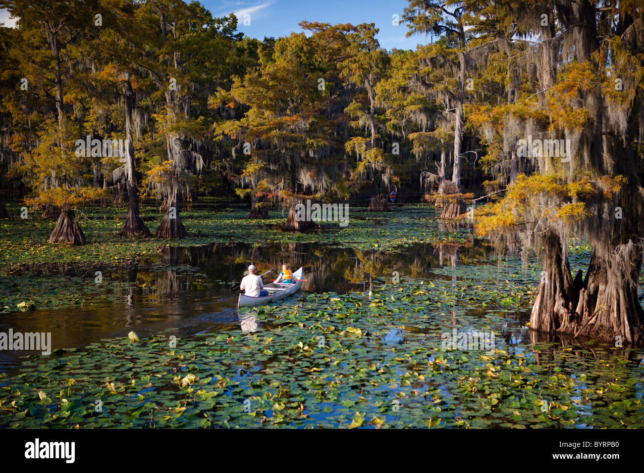 Menschen fahren Kanu, Bäume kahle Zypresse, Cypress Swamp, Caddo Lake, Texas und Louisiana, USA Stockfoto
