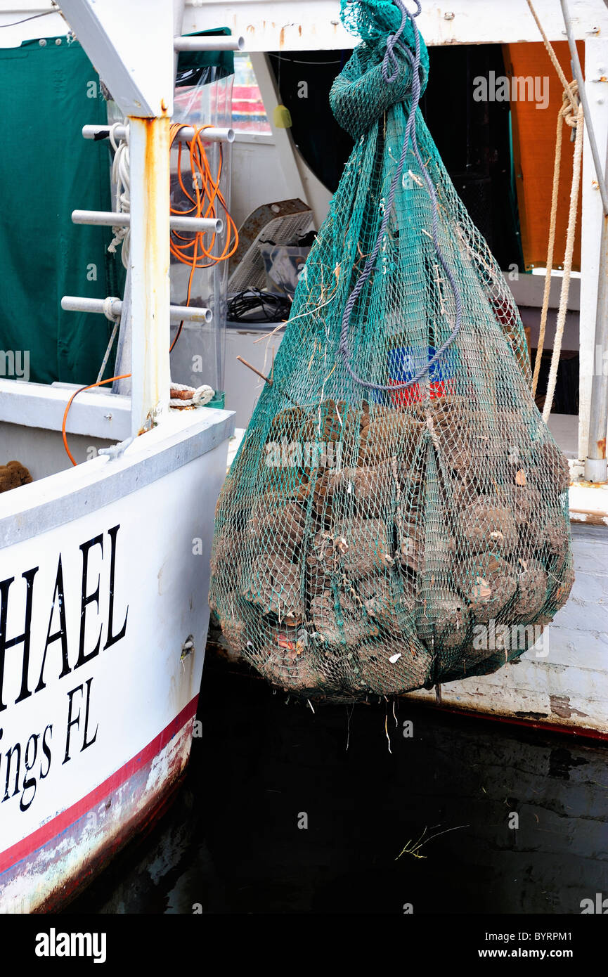 Schwamm Docks in Tarpon springs, Stockfoto