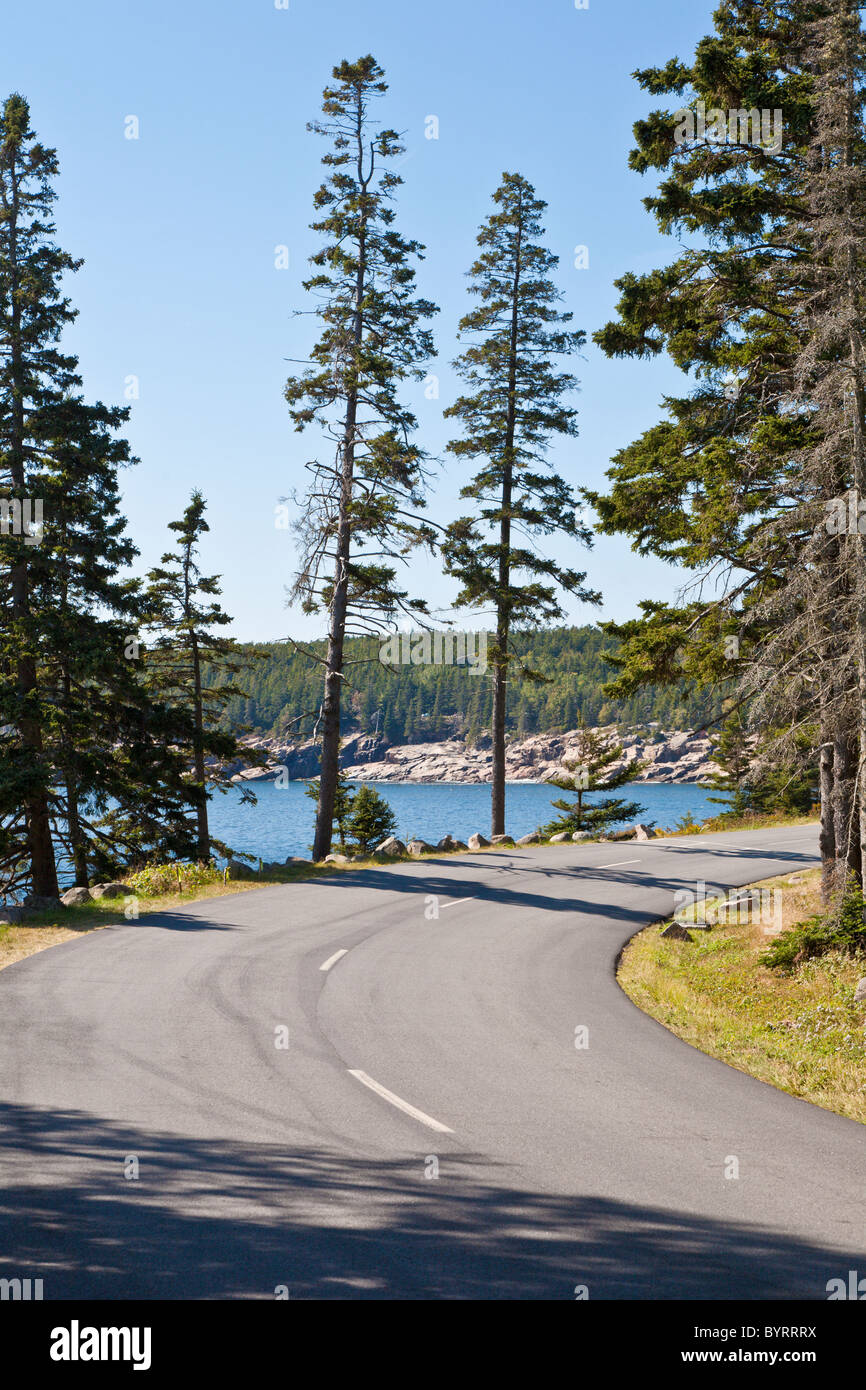 Schoner Head Road, auch genannt Park Loop Road im Acadia National Park in der Nähe von Bar Harbor, Maine Stockfoto