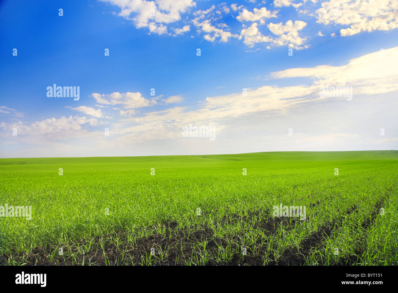 Landschaft mit landwirtschaftlichem Feld und blauem Himmel Stockfoto