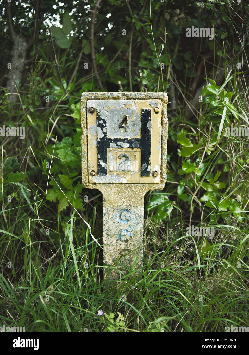 Hydranten in Hecke von einer Straße umgeben von Pflanzen Stockfoto