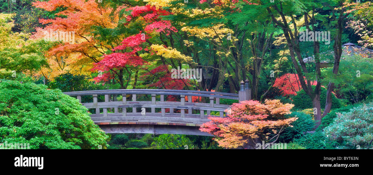 Portland Japanese Gardens mit Brücke und Herbst Farben. Oregon Stockfoto